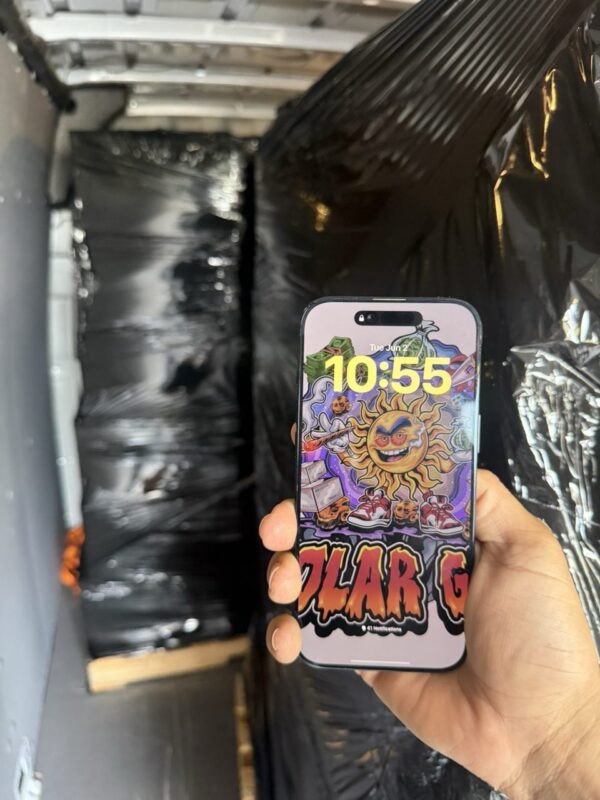 DONUTS BACK IN STOCK